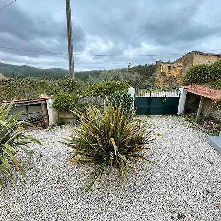 Casa Grande Abrunheiro Grande Casa vacanze Vila de Rei