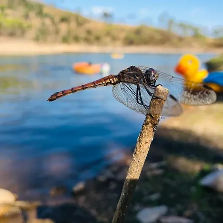 Casa Grande Abrunheiro Grande * Vila de Rei