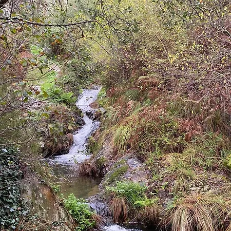 Casa Grande Abrunheiro Grande Casa vacanze Vila de Rei