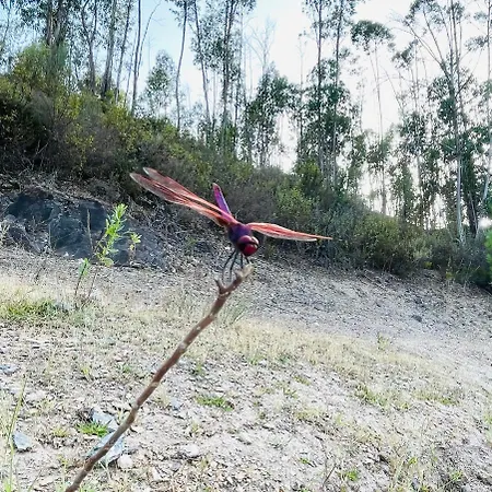 Casa Grande Abrunheiro Grande