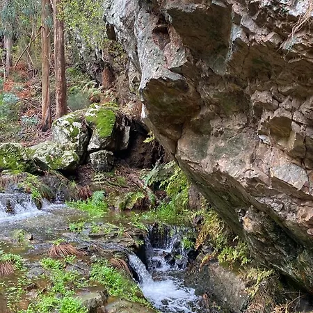 Casa Grande Abrunheiro Grande