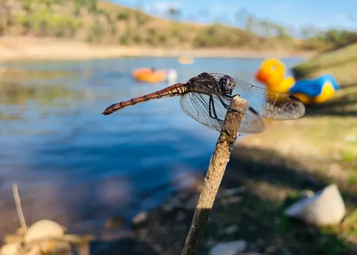 Casa Grande Abrunheiro Grande * Vila de Rei