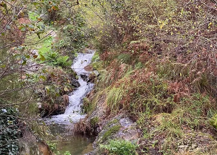 Casa Grande Abrunheiro Grande Nyaraló Vila de Rei